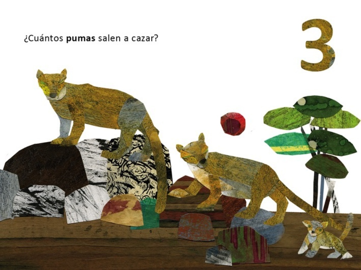 BB 123 ¿CUANTOS VES?2