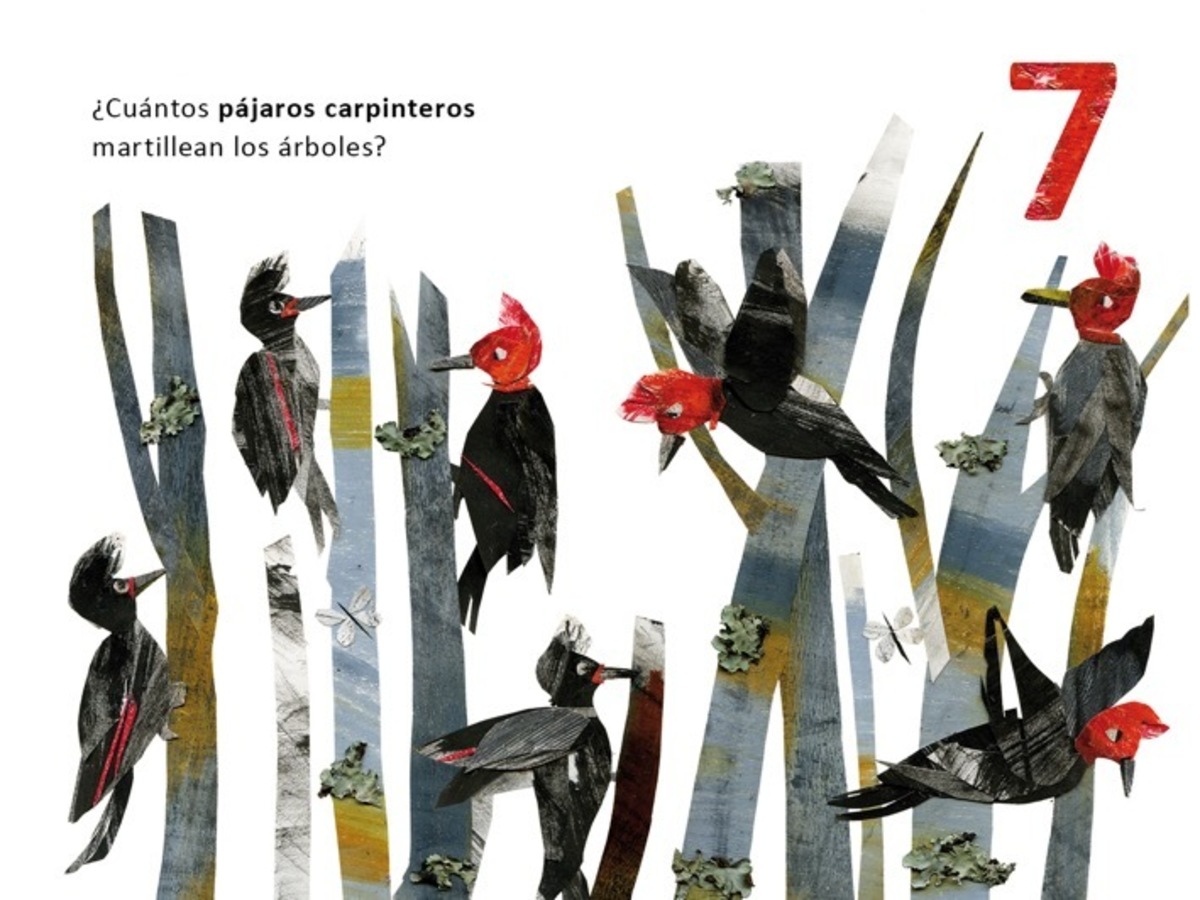 BB 123 ¿CUANTOS VES?3