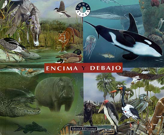 ENCIMA Y DEBAJO1