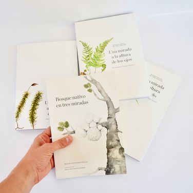 BOSQUE NATIVO EN TRES MIRADAS 2º EDICIÓN1