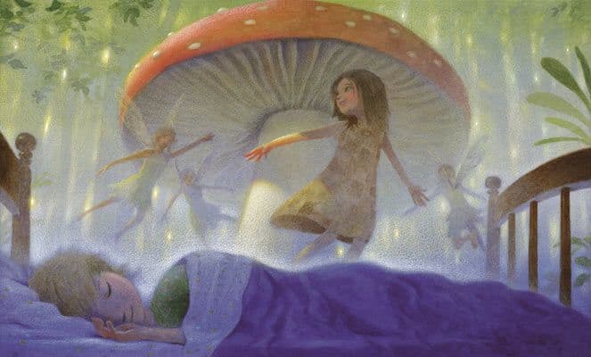 EL LIBRO QUE SE SENTÍA SOLO3