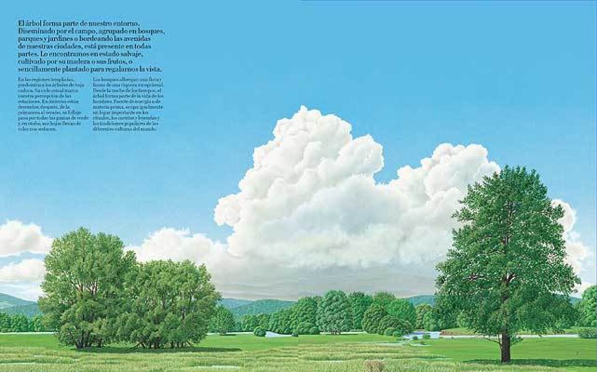 EL GRAN LIBRO DEL ÁRBOL Y DEL BOSQUE7