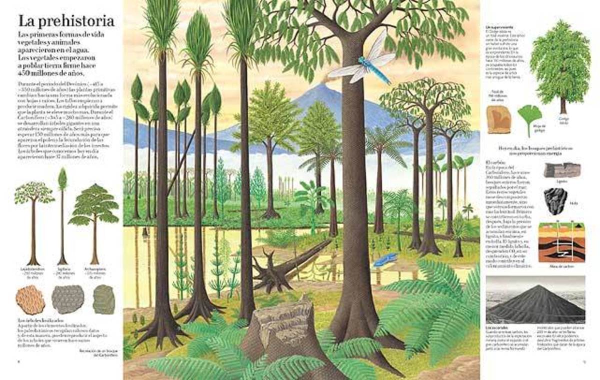 EL GRAN LIBRO DEL ÁRBOL Y DEL BOSQUE6