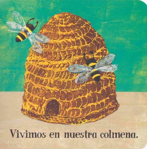 ¿DÓNDE VIVES, CARACOL?4