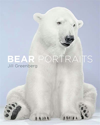 BEAR PORTRAITS1