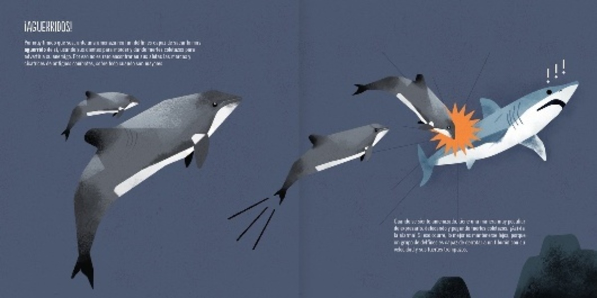 EL DELFIN CHILENO3