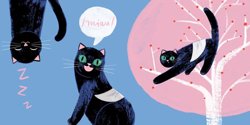 LA INCREÍBLE PERO CIERTA HISTORIA DEL GATO LUNA2