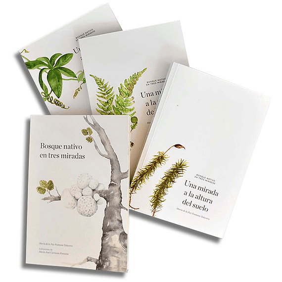 BOSQUE NATIVO EN TRES MIRADAS1