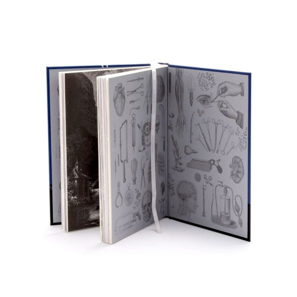 FRANKENSTEIN (CLÁSICOS ILUSTRADOS)2