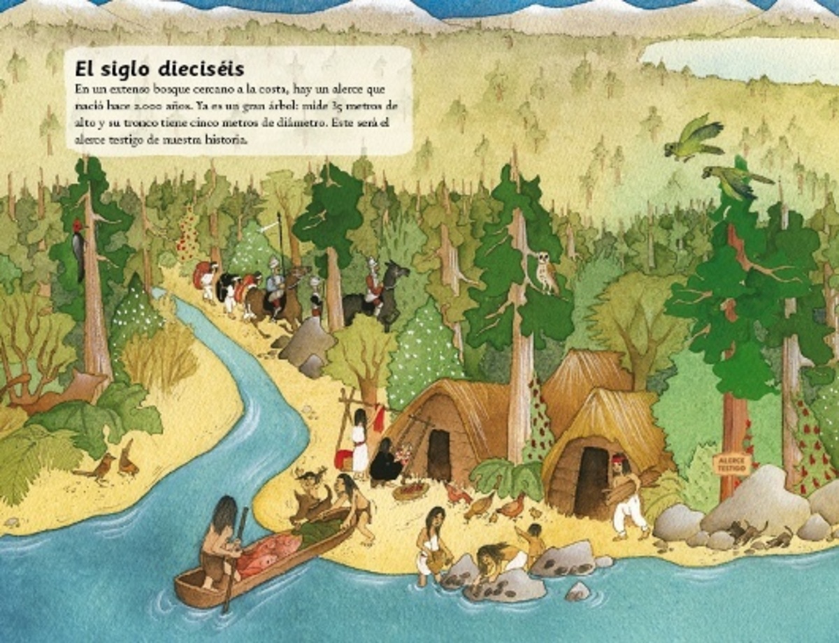 EL ALERCE, GIGANTE MILENARIO2