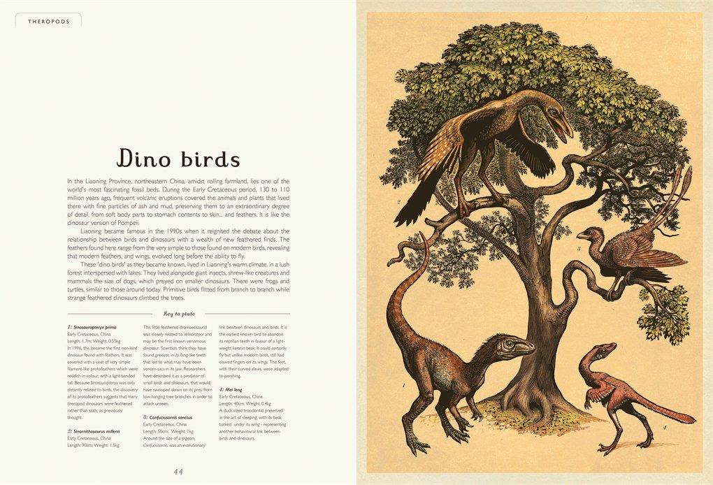 DINOSAURIUM ESPAÑOL2