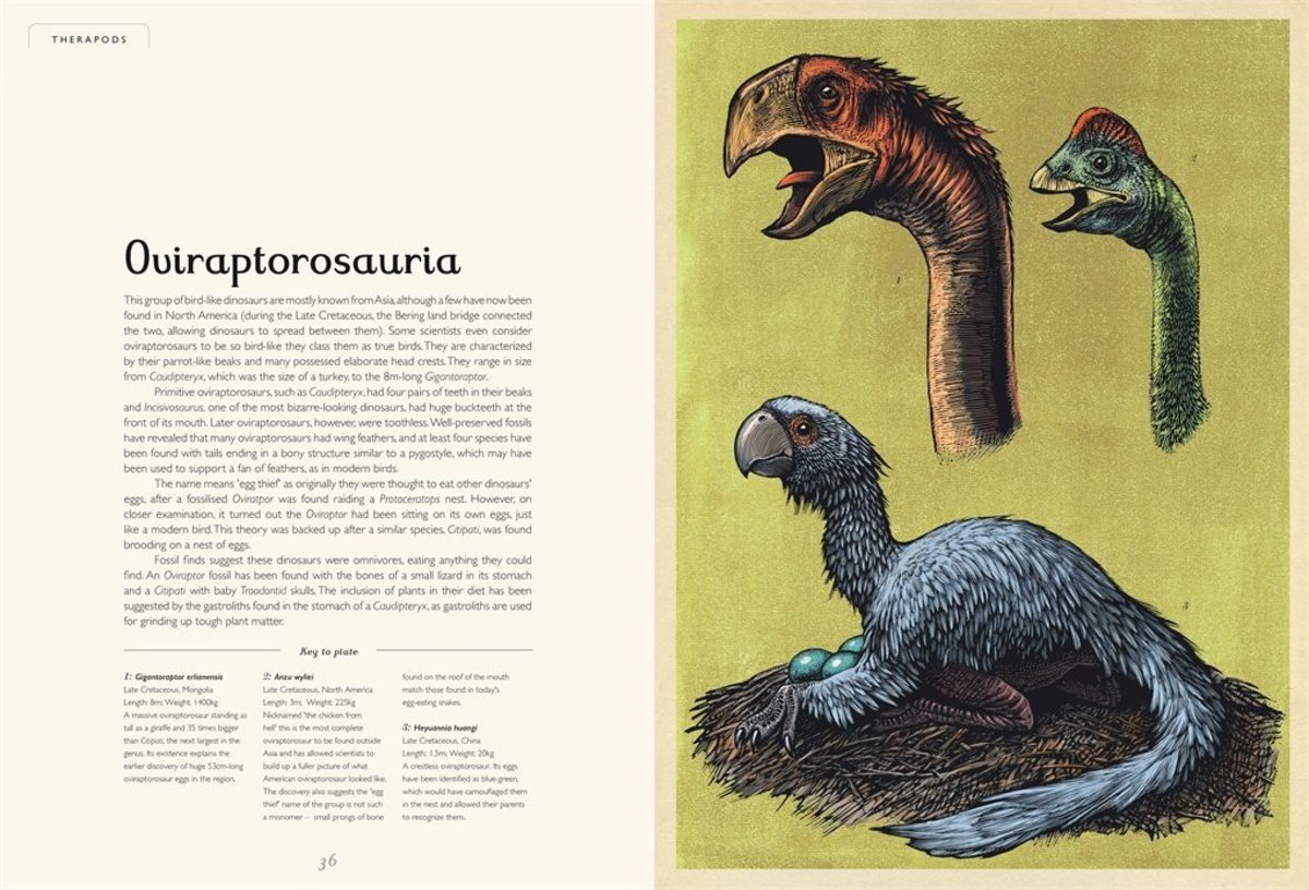 DINOSAURIUM3
