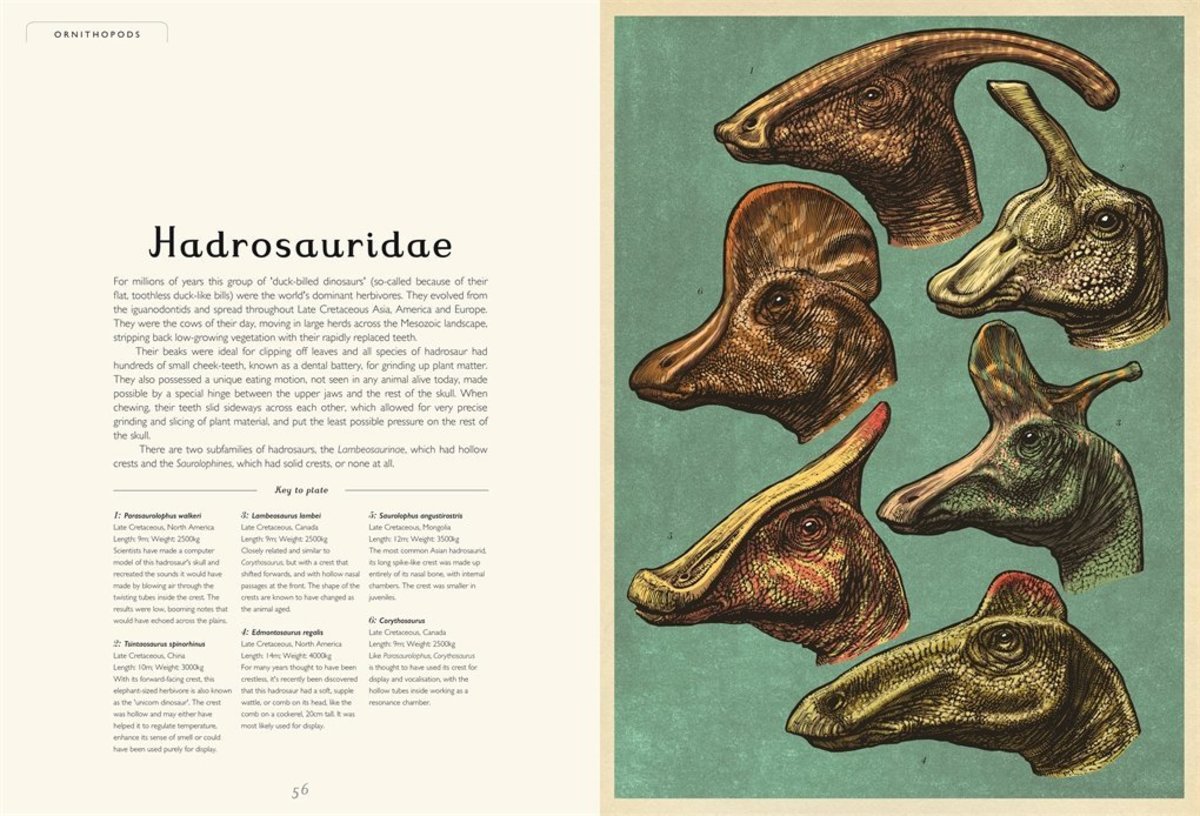 DINOSAURIUM2