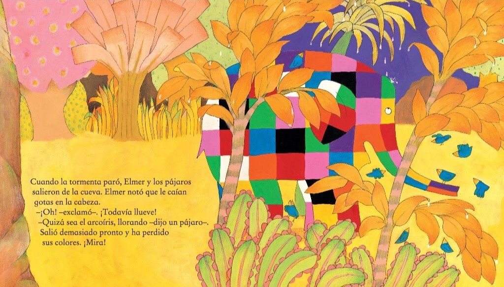 ELMER Y EL ARCOÍRIS4