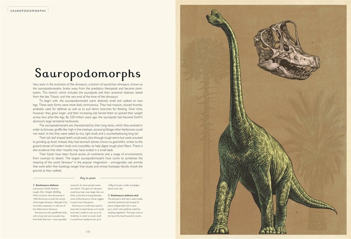 DINOSAURIUM4