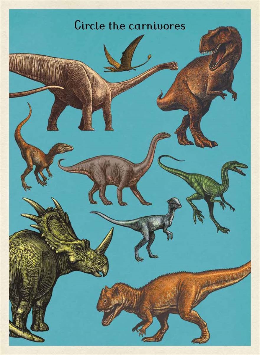 DINOSAURIUM ACTIVITY BOOK2
