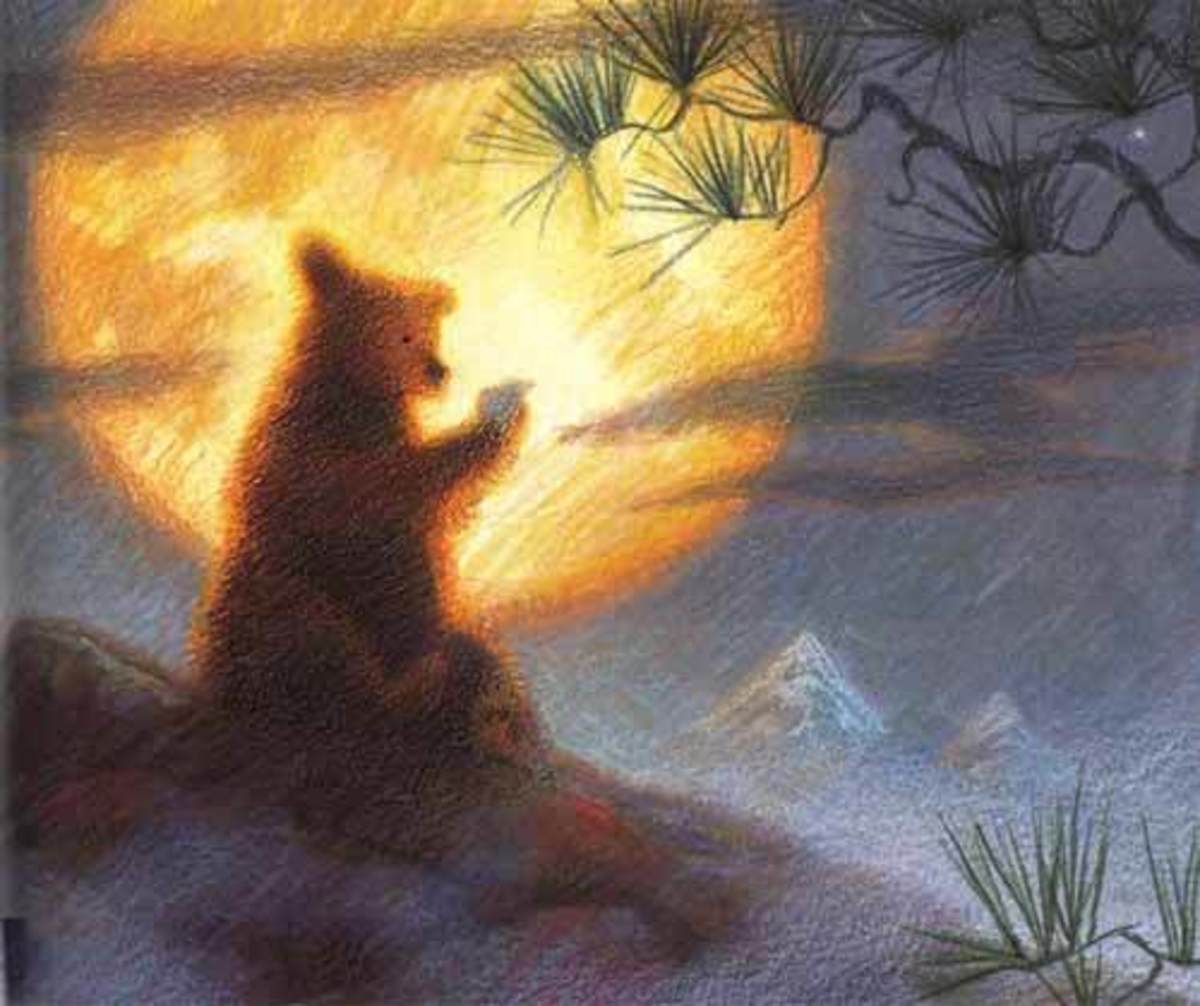 EL OSO QUE AMABA LOS LIBROS4