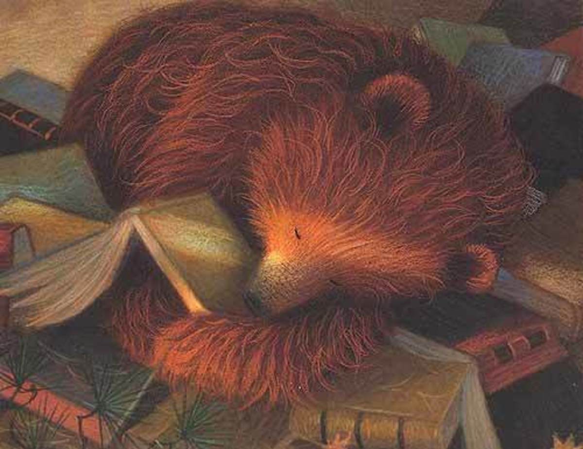 EL OSO QUE AMABA LOS LIBROS2