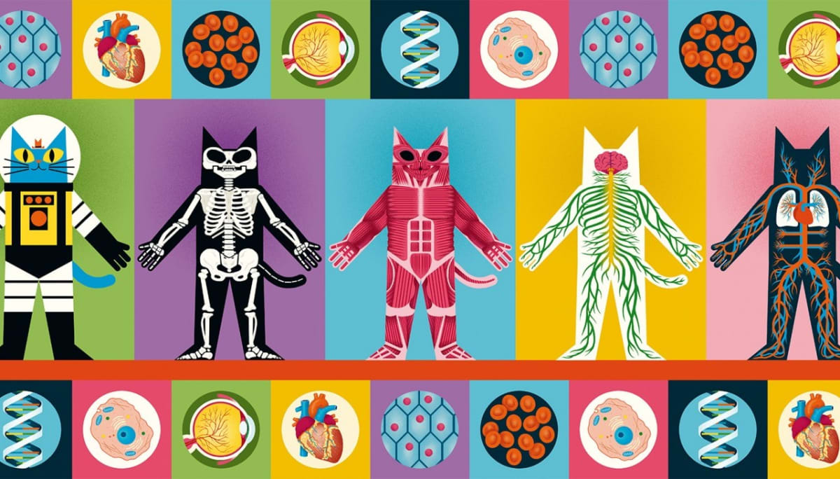 EL PROFESOR ASTRO CAT Y LA ODISEA DEL CUERPO HUMANO6