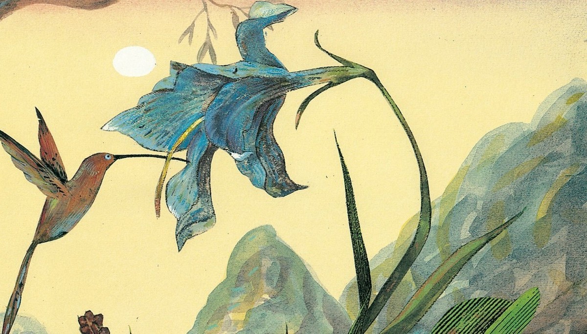 EL TALLER DE LAS MARIPOSAS (GRANDE)3