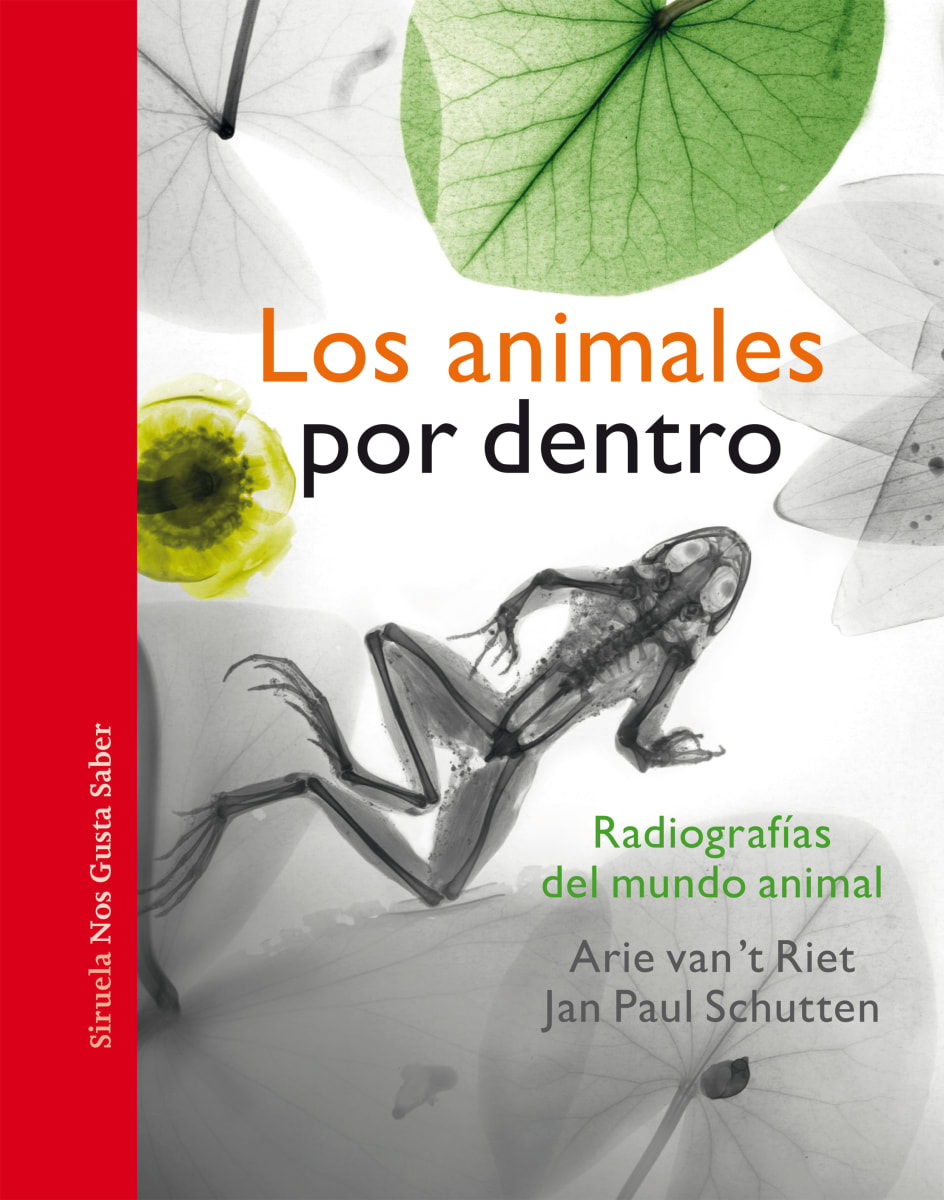 LOS ANIMALES POR DENTRO1