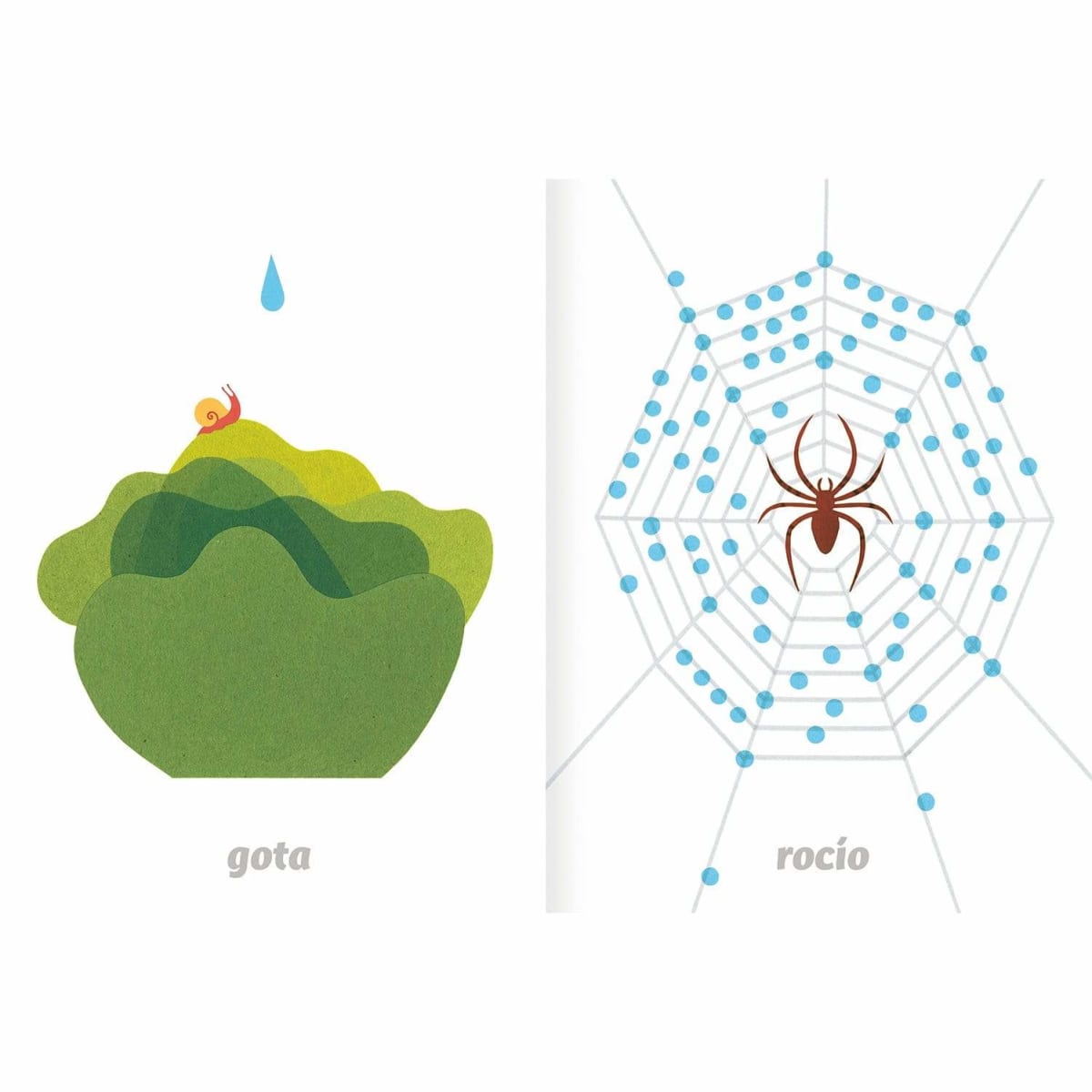 IMAGINARIO DEL AGUA4