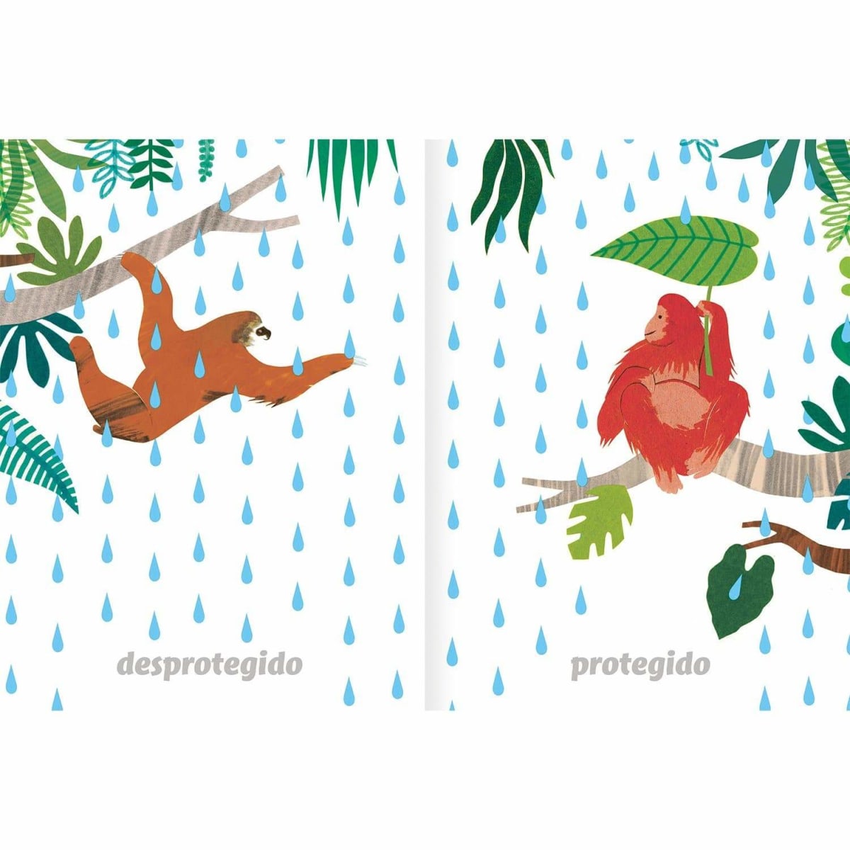 IMAGINARIO DEL AGUA2