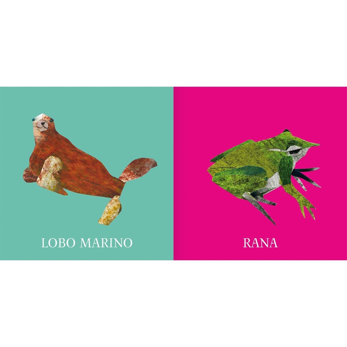 MIS ANIMALES4