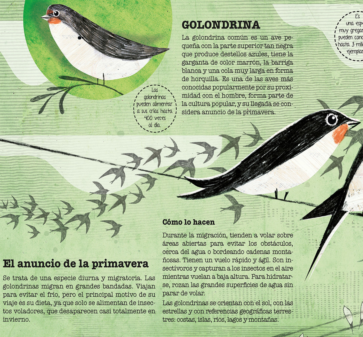 ANIMALES VIAJEROS4