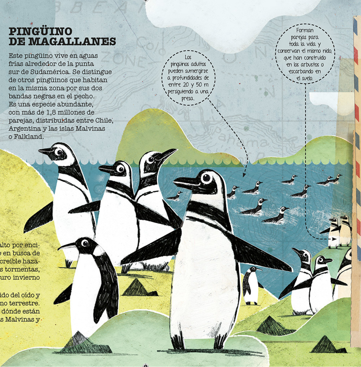 ANIMALES VIAJEROS3