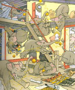 MI GATO, EL MÁS BESTIA DEL MUNDO3