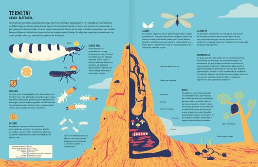 INSECTOPEDIA3