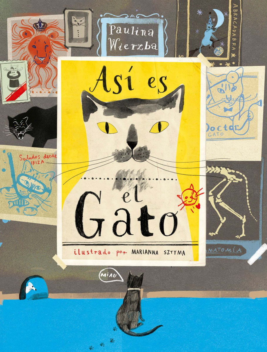 ASÍ ES EL GATO1