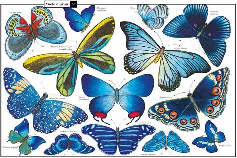 CURIOSA NATURALEZA4