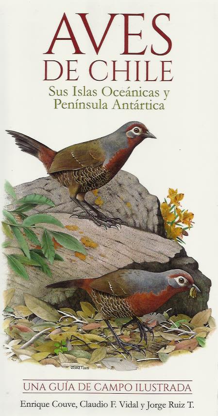 AVES DE CHILE GUÍA DE CAMPO ILUSTRADA1