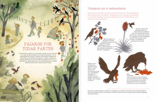 VUELO DE PÁJAROS4