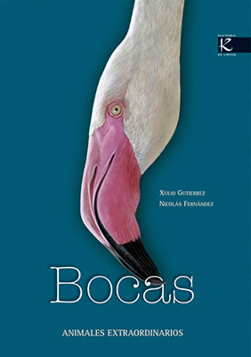 BOCAS : ANIMALES EXTRAORDINARIOS1