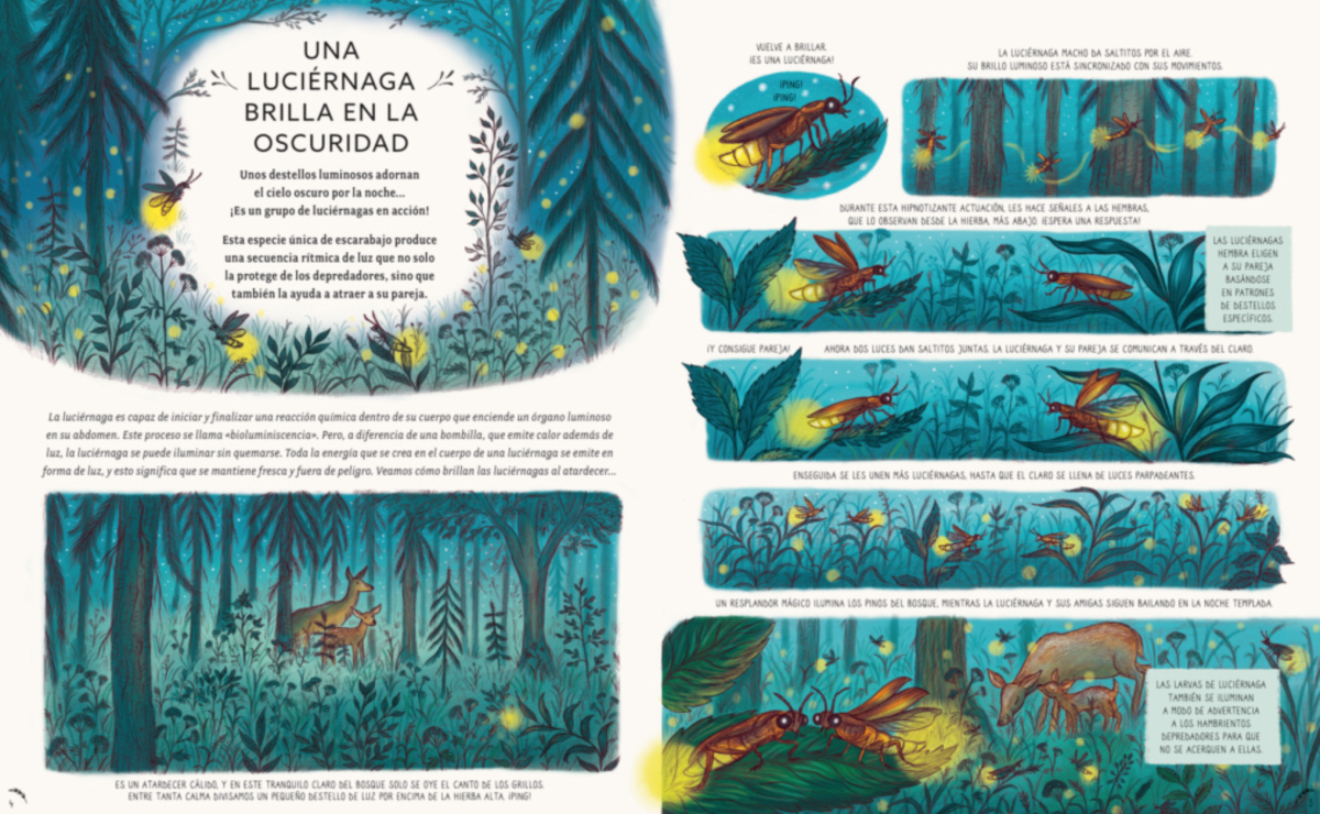 CON CALMA, AQUÍ Y AHORA2