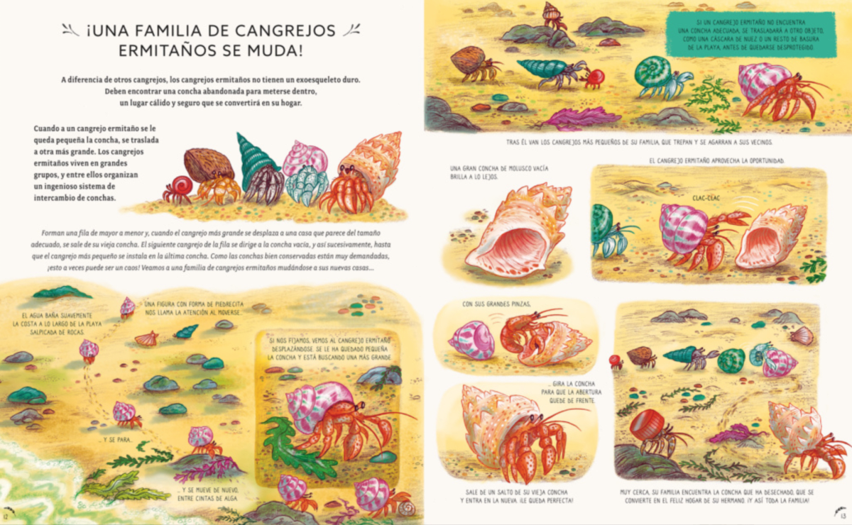 CON CALMA, AQUÍ Y AHORA3