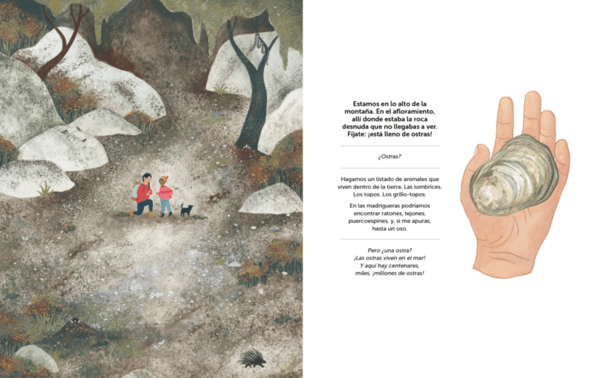 UN MILLÓN DE OSTRAS EN LO ALTO DE LA MONTAÑA2