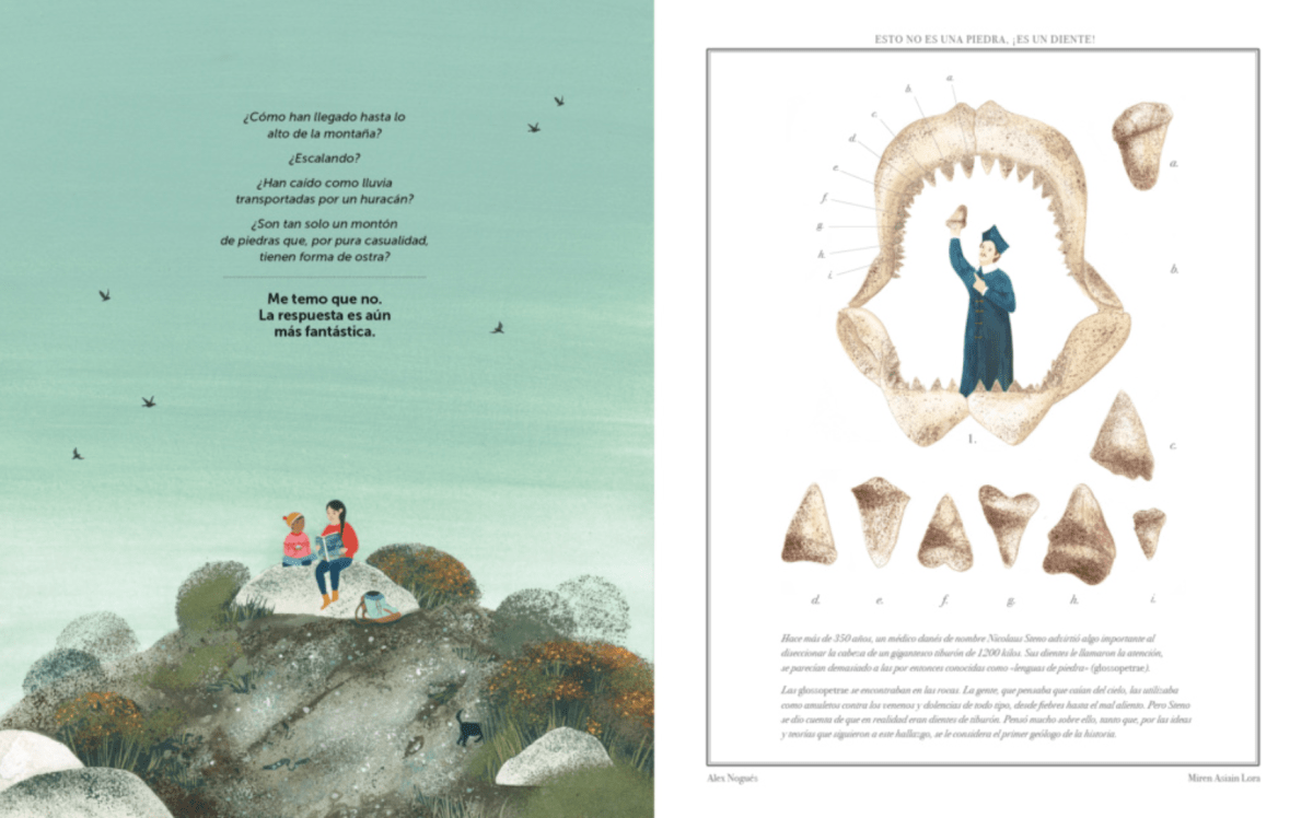 UN MILLÓN DE OSTRAS EN LO ALTO DE LA MONTAÑA3