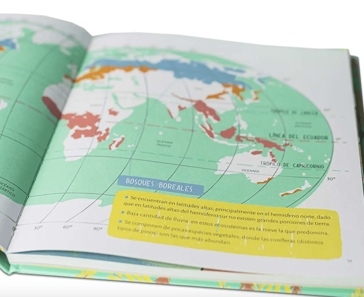 UN PASEO POR EL BOSQUE2