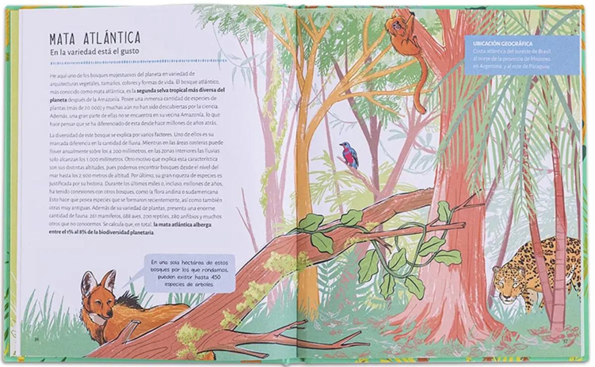 UN PASEO POR EL BOSQUE3