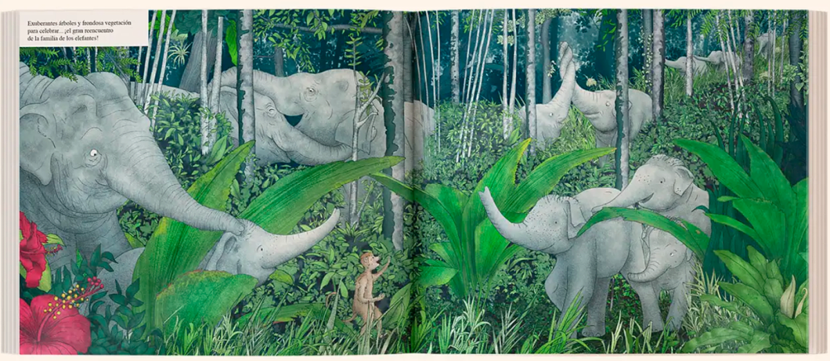 CUANDO LA SELVA DESAPARECE1