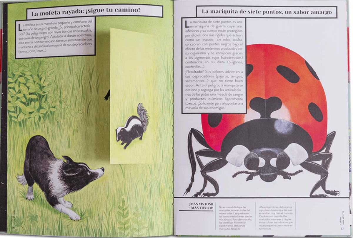 COLOR ANIMAL2