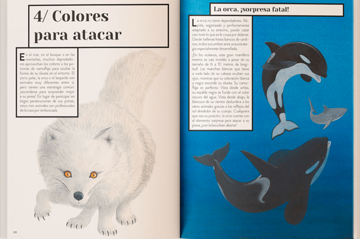 COLOR ANIMAL3