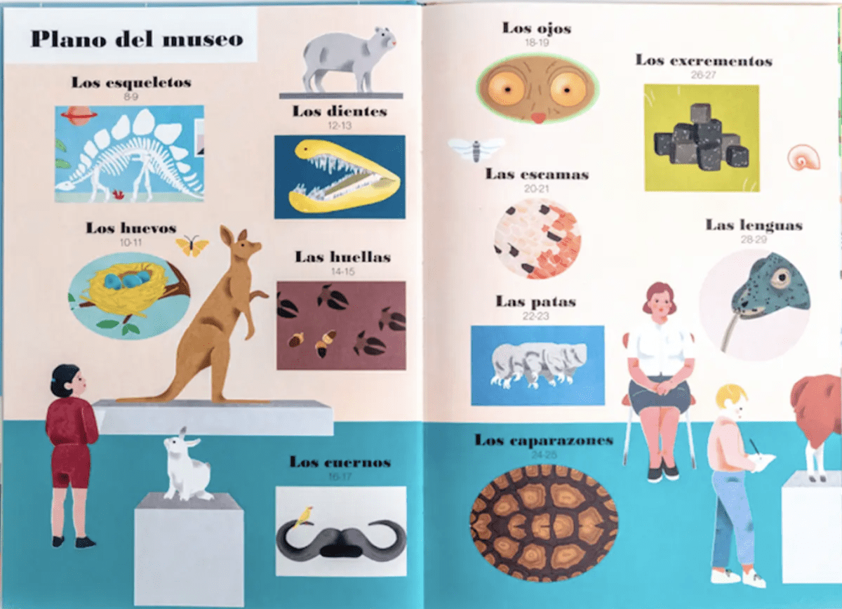 MUSEO ANIMAL2
