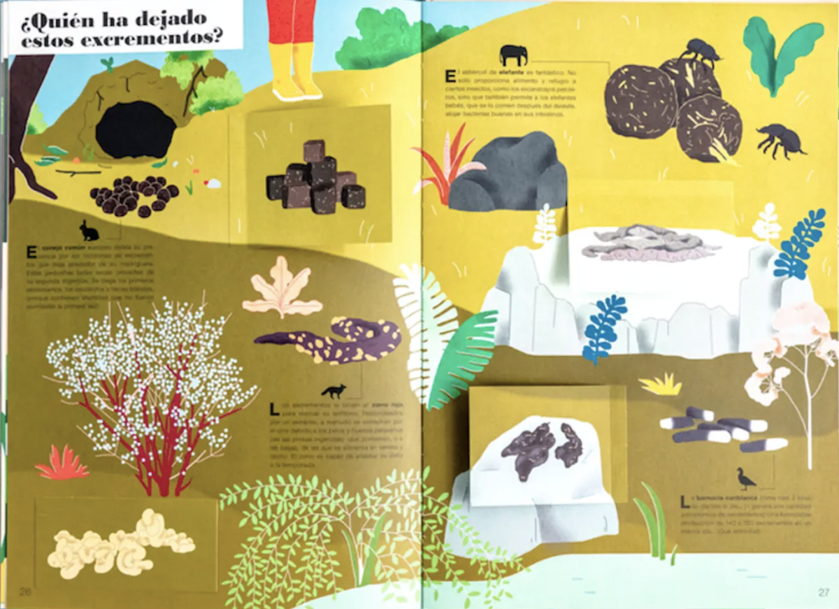 MUSEO ANIMAL3