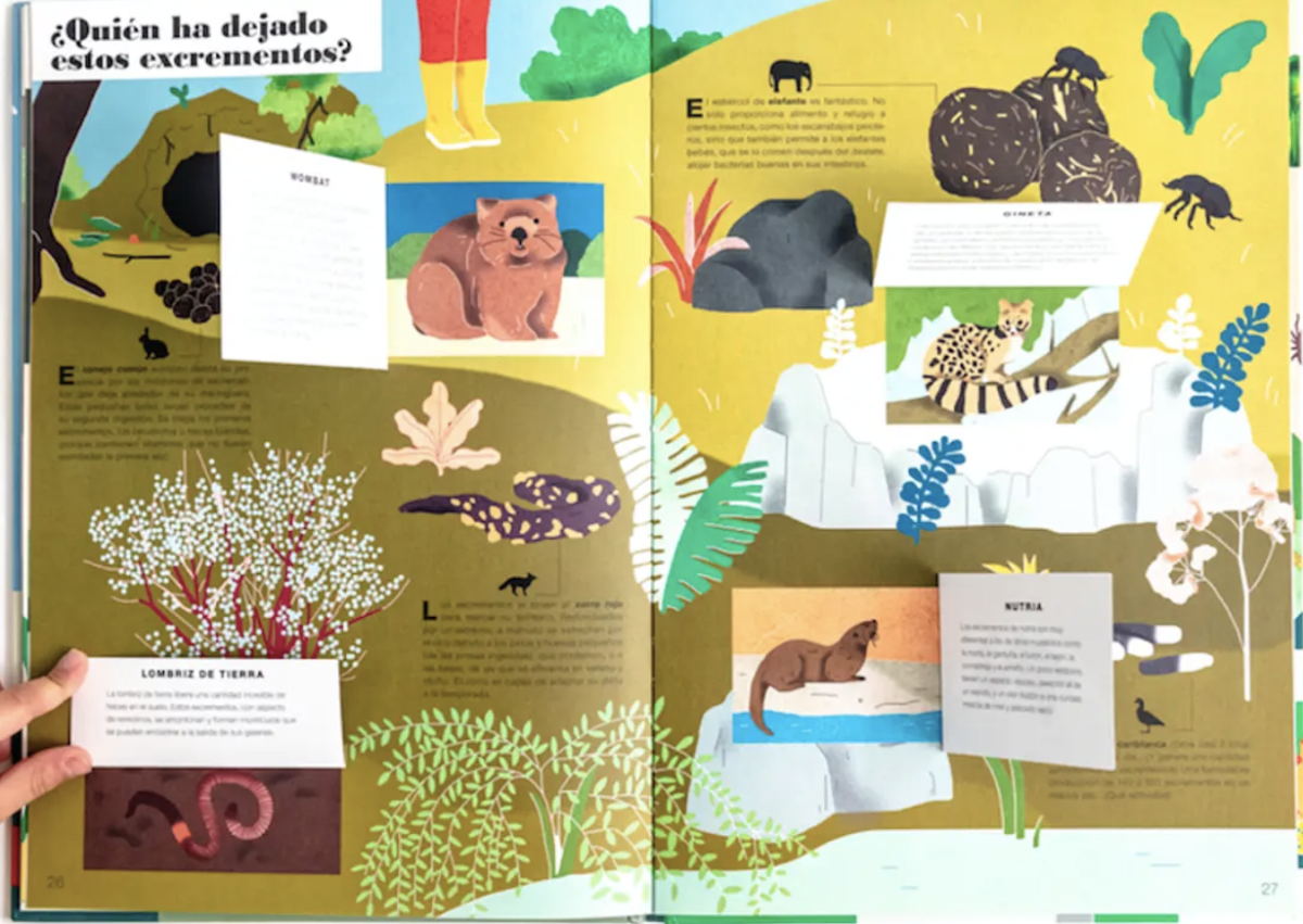 MUSEO ANIMAL4