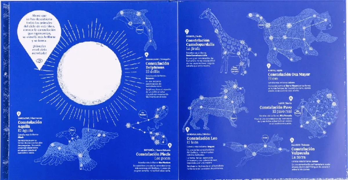 ¿QUÉ SE ESCONDE EN CIELO ESTRELLADO?2